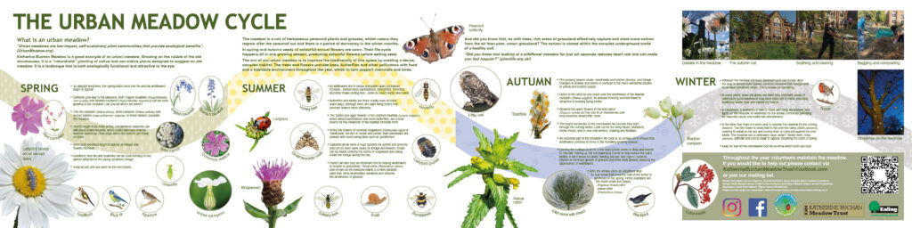 Katherine Buchan Meadow panel